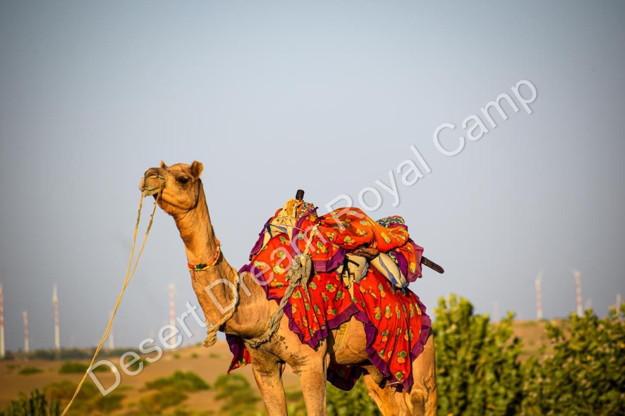 Hotel Desert Dream Royal Camp Jaisalmer Zewnętrze zdjęcie