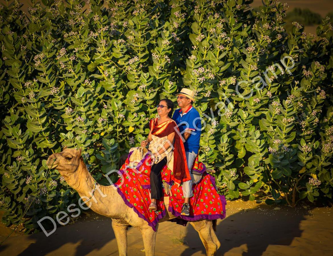 Hotel Desert Dream Royal Camp Jaisalmer Zewnętrze zdjęcie